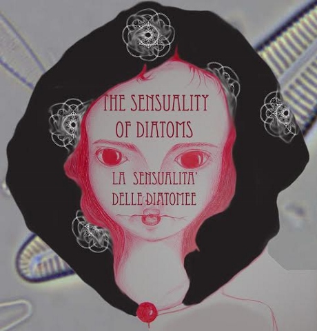 Viviana Puecher / Maria Giovanna Speranza – The sensuality of diatoms